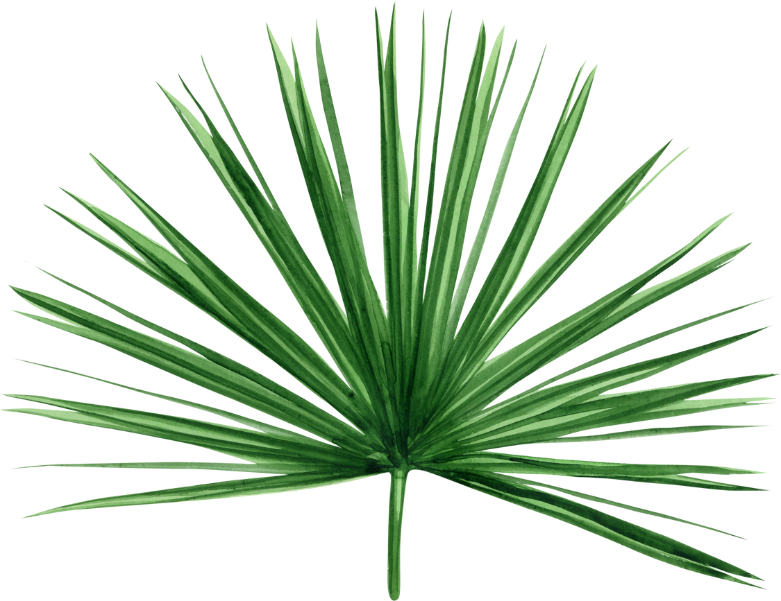 Watercolor Tropical Plant